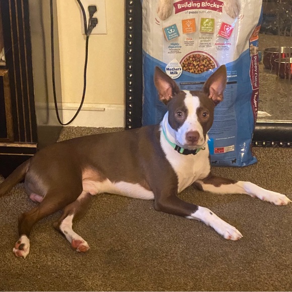 Meet your Posher, Valarie - Picture 1 of 1